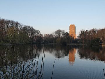 Reflectie in vijver van Rinke Velds