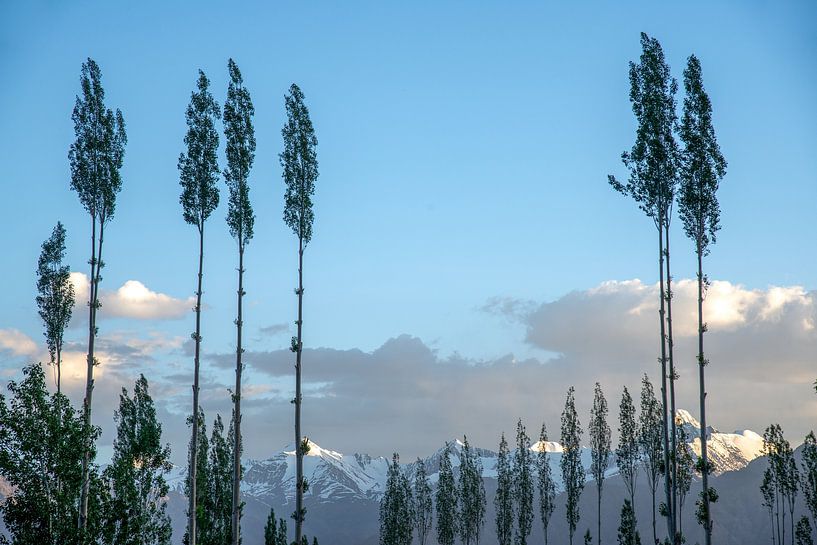 Himalayas, Ladakh, India by Jan Fritz