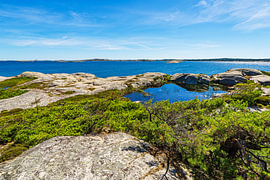 Felsen und Bäume an der Küste der Insel Rossö nahe Strömstad