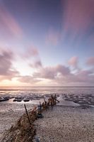 Wadden coast