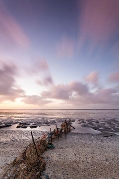 Wadden coast by Ton Drijfhamer