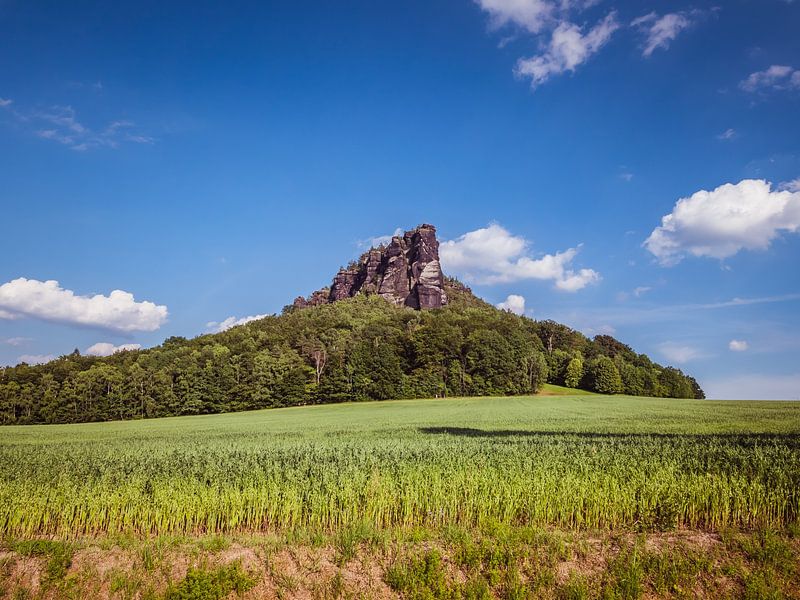 Blick auf den Lilienstein im Elbsandsteingebirge in Sachsen von Animaflora PicsStock