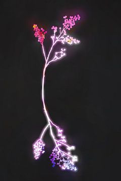 Fuschia bloemen van amini54