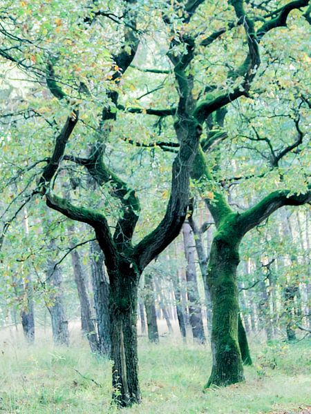 In autumn hush by patrick van den Broek