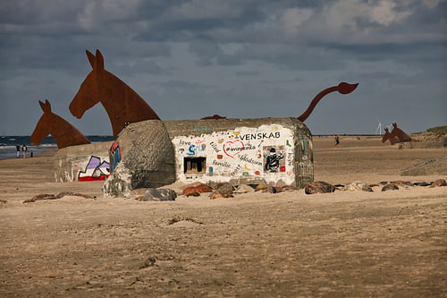 Die Bunkermaultiere von Blåvand in Dänemark