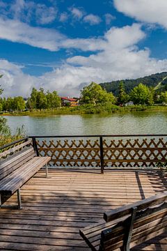 Wandeling rond de Wildsee van Oliver Hlavaty