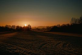 Zonsopgang in het natuurreservaat in Bünde van Momentaufnahme | Marius Ahlers