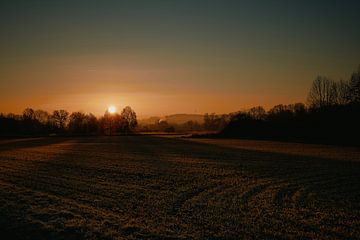 Zonsopgang in het natuurreservaat in Bünde