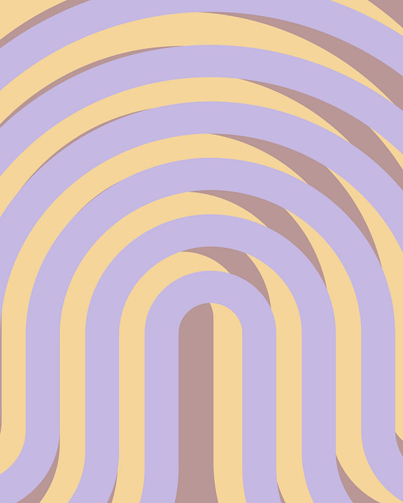 Rainbow by <span class="secondary-font">FRESH Fine Art</span>