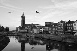 Meeuwen boven de Roer vanaf de Steenen Brug by Strooptocht.EU