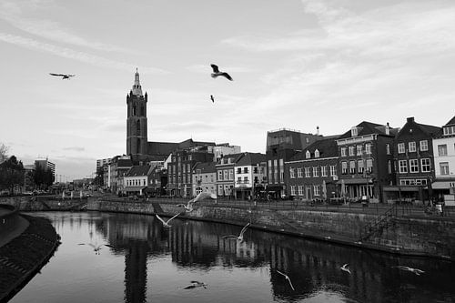 Meeuwen boven de Roer vanaf de Steenen Brug