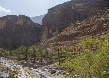 Off Road Oman: Wadi Bani Awf von Lisette van Leeuwen