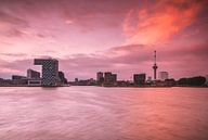 Skyline Rotterdam met Euromast von Ilya Korzelius Miniaturansicht