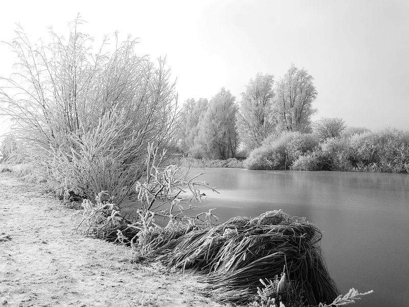 WINTER by Henny van den Berg