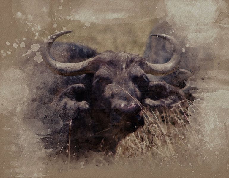 Buffalo on his guard by Frans Gesell
