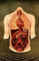 The Anatomy Lesson