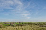 Zicht op Hollum, Ameland van Greet ten Have-Bloem thumbnail