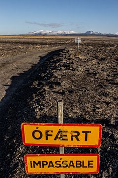 Iceland by Eric van Nieuwland