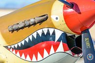 Neus van een Curtiss P-40 Kittyhawk met haaientanden. van Jaap van den Berg thumbnail