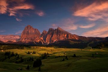 Seiser Alm in den Dolomiten von Dieter Meyrl