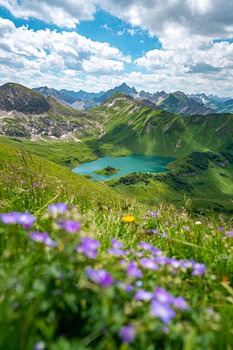 Blumige Sicht auf den Schrecksee und den Hochvogel in den Allgäuer Alpen