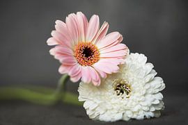 Gemeinsam! von VisualsbyLeonie