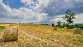 landscape in Tuscany by eric van der eijk