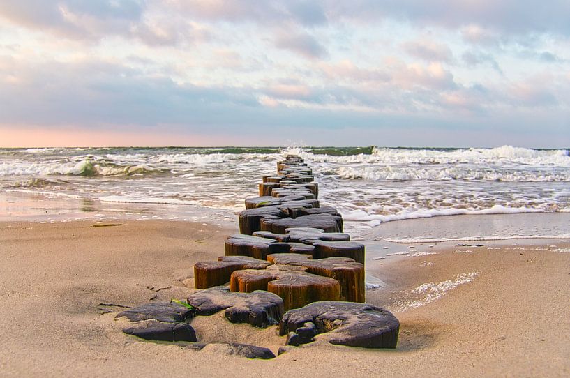 Kribben die in de Oostzee in Zingst reiken. van Martin Köbsch