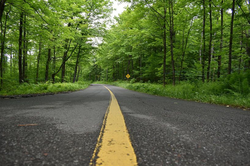 Une route de campagne en été par Claude Laprise