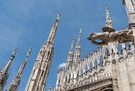 Dom van Milaan, detail hemelwaterafvoer van arjan doornbos thumbnail