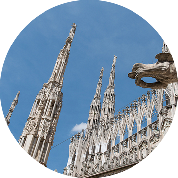 Dom van Milaan, detail hemelwaterafvoer van arjan doornbos