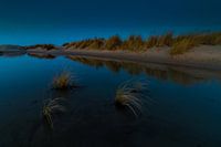 blauwe uur