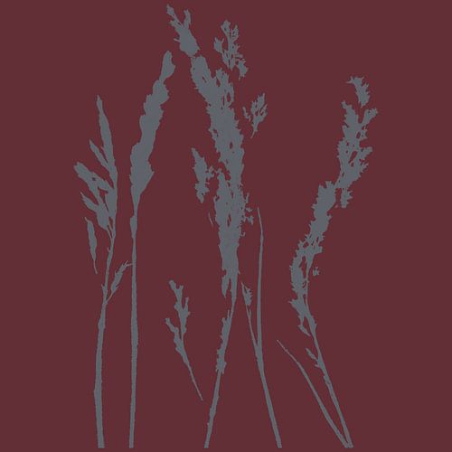 Gras in grijs op wijnrood. Moderne botanische kunst.