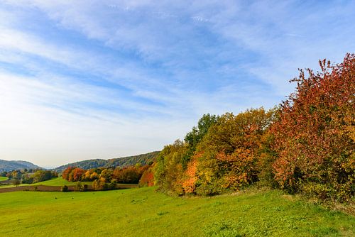 Wei naast een bos met herfstkleuren