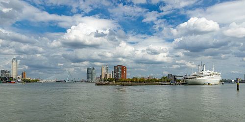 Skyline Rotterdam 026