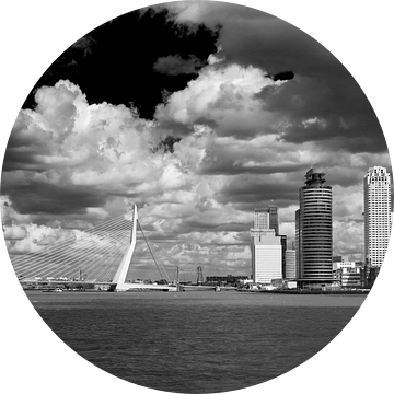 Rotterdam vanaf het water van Thomas van der Willik