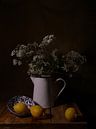 Stilleben mit Zitronen von Odette Kleeblatt Miniaturansicht