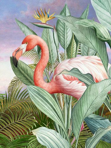 Le Flamengo Rose by Marja van den Hurk