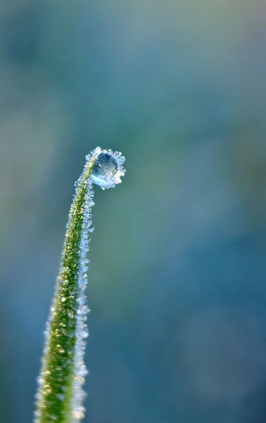 Frozen trickle by Shutterbalance