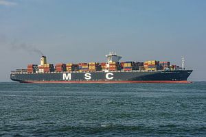 Das Containerschiff MSC Benedetta XIII. von Jaap van den Berg