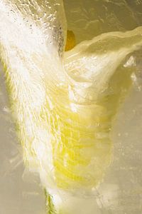 Weiße Calla in Eis 1