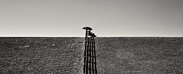 Lonely on the dike by Eric van Nimwegen