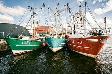 Vissersschepen in de haven van Zoutkamp in Groningen