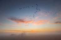 Vogelperspektive von Jan van de Riet Miniaturansicht