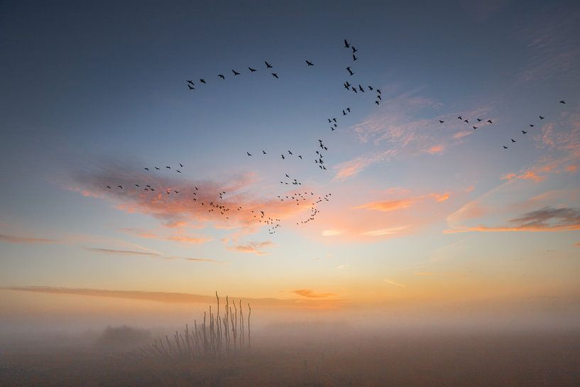 Vogelperspektive von Jan van de Riet