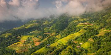 The Spectacular Rice Fields of Hoang Su Phì, Vietnam by Antwan Janssen