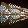 Prince Felipe Science Museum, Valencia, Spanje, architect Santiago Calatrava van Dirk Verwoerd