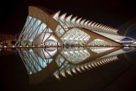 Prince Felipe Science Museum, Valencia, Spanje, architect Santiago Calatrava von Dirk Verwoerd Miniaturansicht