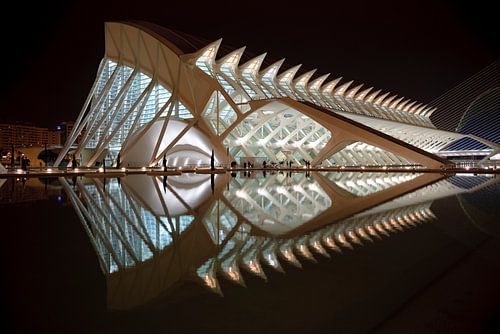 Prince Felipe Science Museum, Valencia, Spanje, architect Santiago Calatrava