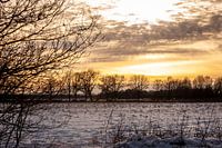 Beautiful wek on the for you wall!